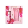 Caudalie Rose de Vigne Duo