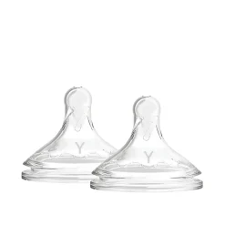 Dr. Brown's Options+ Wide-Neck BPA-Free Plastic Bottle Y-Cut Silicone Nipple 9m+ x2