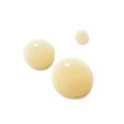 Dr. Hauschka Regenerating Intensive Night Serum 30ml (1.0floz)