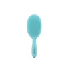 Framar Detangle Brush Baecation Aqua