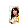Garnier Belle Color Permanent Hair Dye 3 Dark Brown