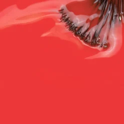 INOCOS Nailed It Gel Polish NL3 Touchdown 15ml (0.50floz)