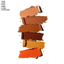 M.A.C Cosmetics Studio Fix Conceal and Correct Palette Dark