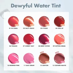 Romand Dewyful Water Tint 04 Chili Up 5.0g (0.17oz)