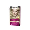 Schwarzkopf Palette Intensive Creme Color Permanent Hair Dye 8.1 Ashy Light Blonde