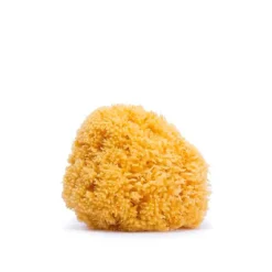 Suavinex Large Natural Sponge +0m