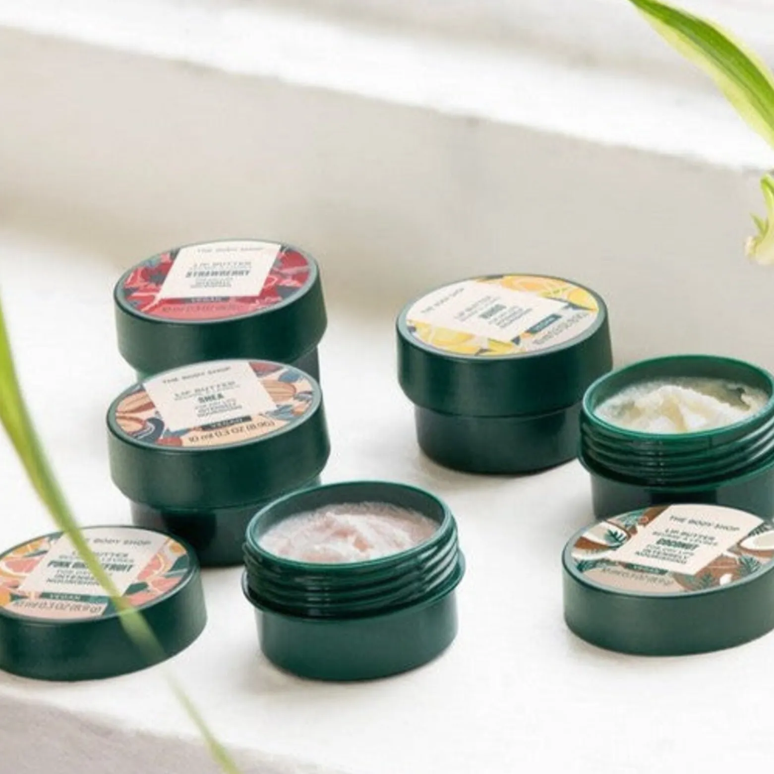 The Body Shop Coconut Lip Butter 10ml (0.3floz)