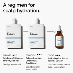 The Ordinary Hair Care Behentrimonium Chloride 2% Conditioner 240ml (8.1floz)