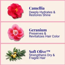 The Powder Shampoo Hydrating Shampoo Camellia & Geranium 70g (2.47oz)