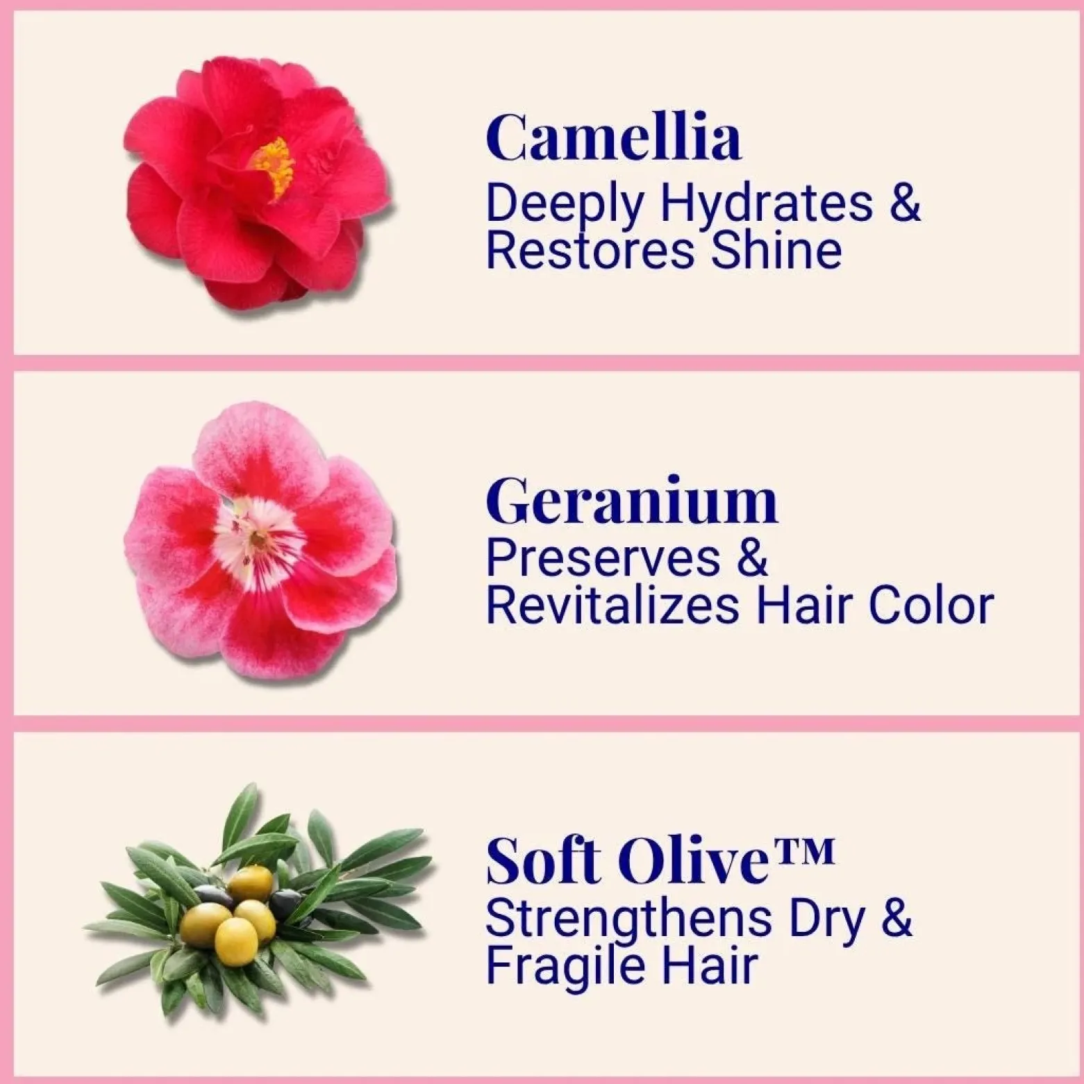 The Powder Shampoo Hydrating Shampoo Camellia & Geranium 70g (2.47oz)