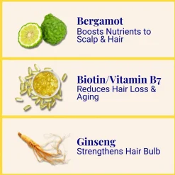 The Powder Shampoo Invigorating Shampoo Bergamot & Thyme 20g (0.70oz)