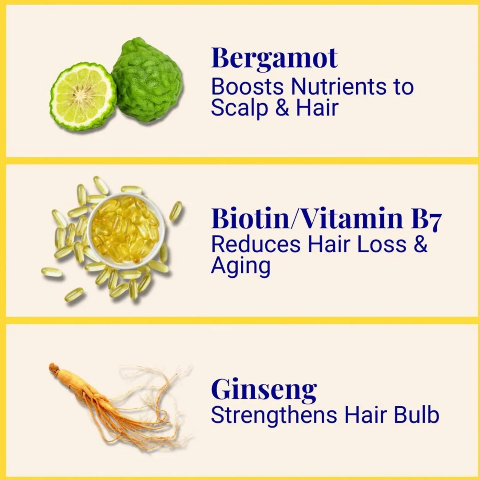 The Powder Shampoo Invigorating Shampoo Bergamot & Thyme 20g (0.70oz)