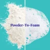 The Powder Shampoo Purifying Shampoo Peppermint & Thyme 20g (0.70oz)