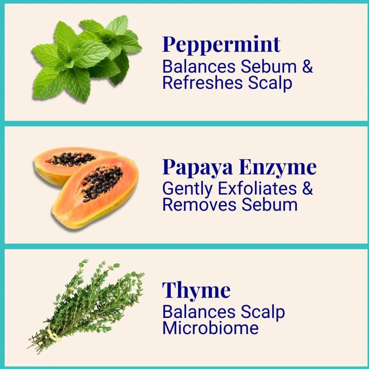 The Powder Shampoo Purifying Shampoo Peppermint & Thyme 20g (0.70oz)
