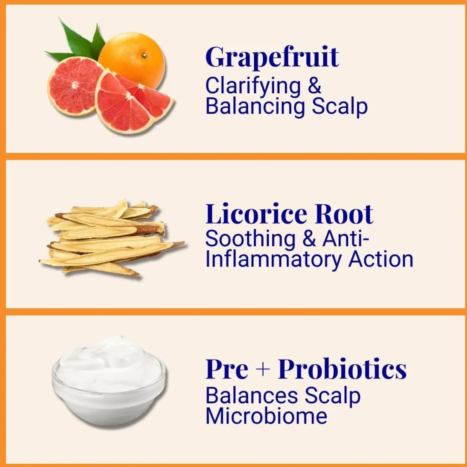 The Powder Shampoo Strengthening Shampoo Grapefruit & Thyme Refill 50g (1.76oz)