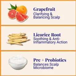 The Powder Shampoo Strengthening Shampoo Grapefruit & Thyme 70g (2.47oz)