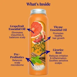 The Powder Shampoo Strengthening Shampoo Grapefruit & Thyme 70g (2.47oz)