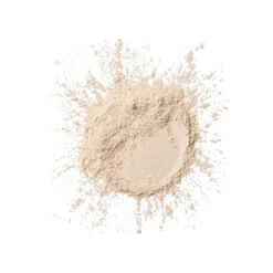 Wet n Wild Photo Focus Loose Setting Powder Translucent 20g (0.70oz)