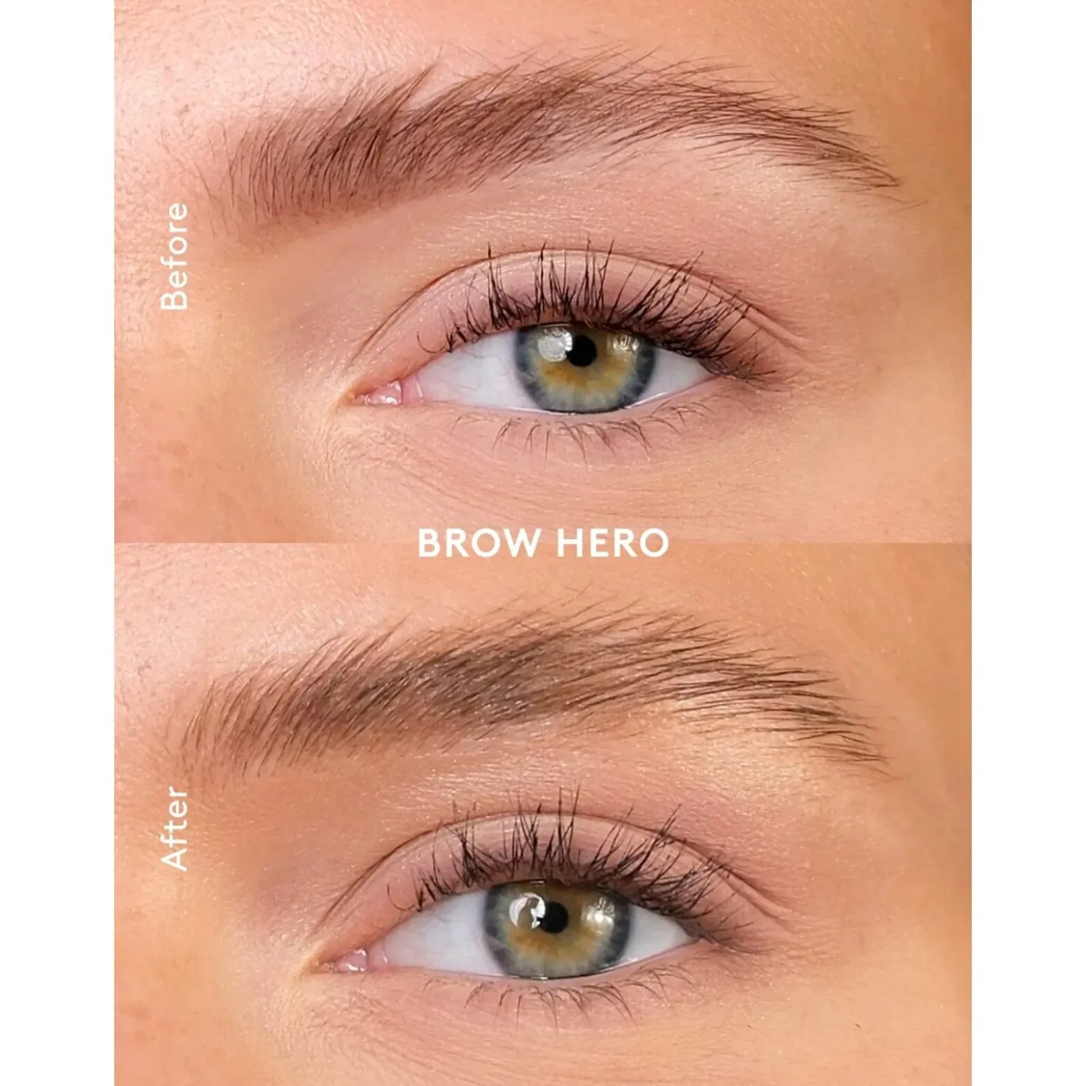 Xlash Xbrow Brow Hero