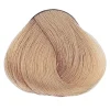 Yellow Professional Color Permanent Cosmetic Coloring Cream 9.32 Very Light Golden Violet Blonde 100ml (3.38floz)